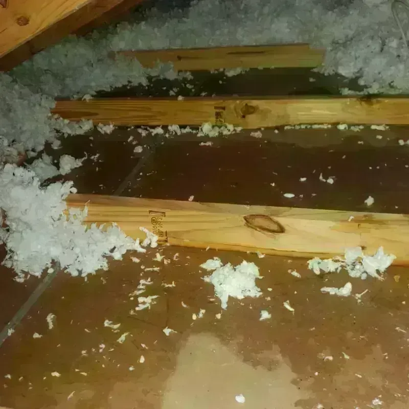 Attic Water Damage in Princeton, MN