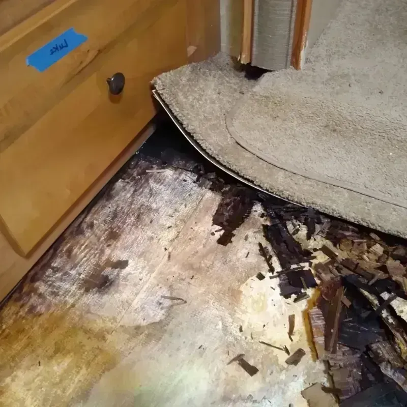 Wood Floor Water Damage in Princeton, MN